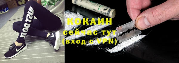 эйфоретик Осинники