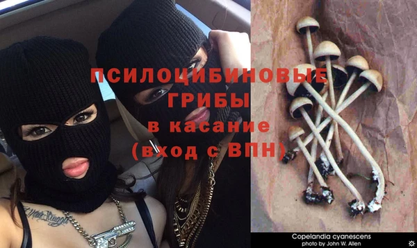 гашишное масло Заречный