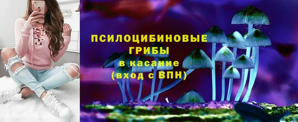 mdma Новодвинск