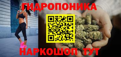 спайс Гусь-Хрустальный