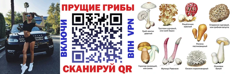 Галлюциногенные грибы ЛСД  Качканар 
