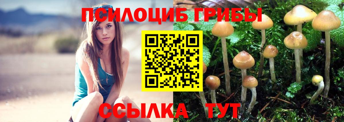 Псилоцибиновые грибы MAGIC MUSHROOMS  Вход с VPN  Галлюциногенные грибы Psilocybine cubensis  Качканар 